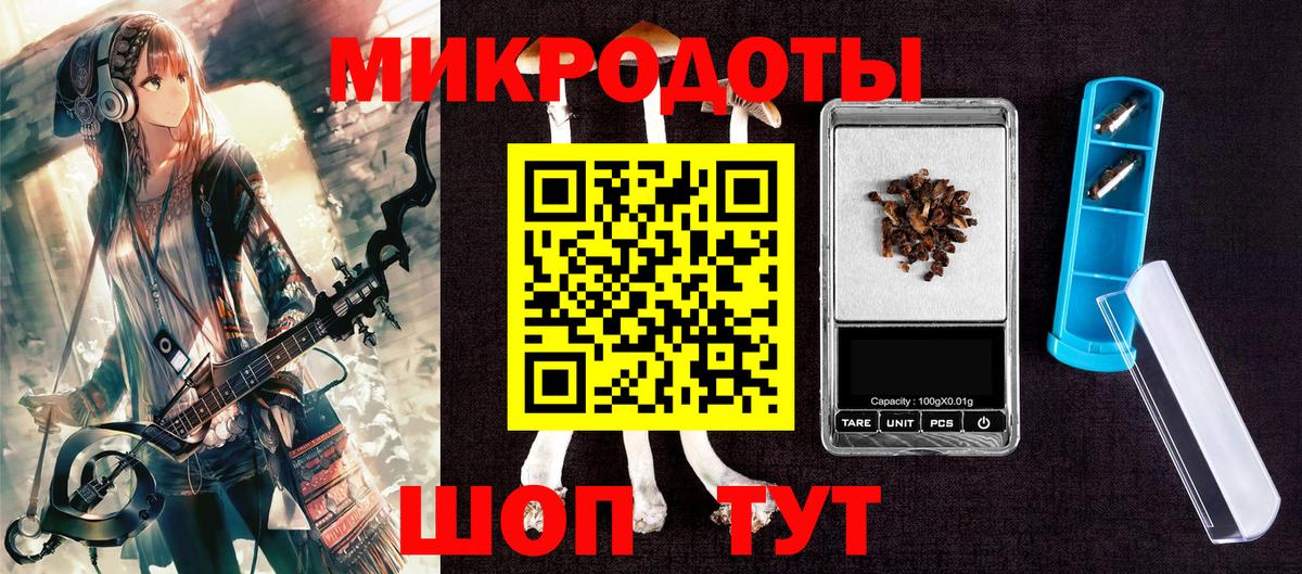 Галлюциногенные грибы Psilocybine cubensis Камышин